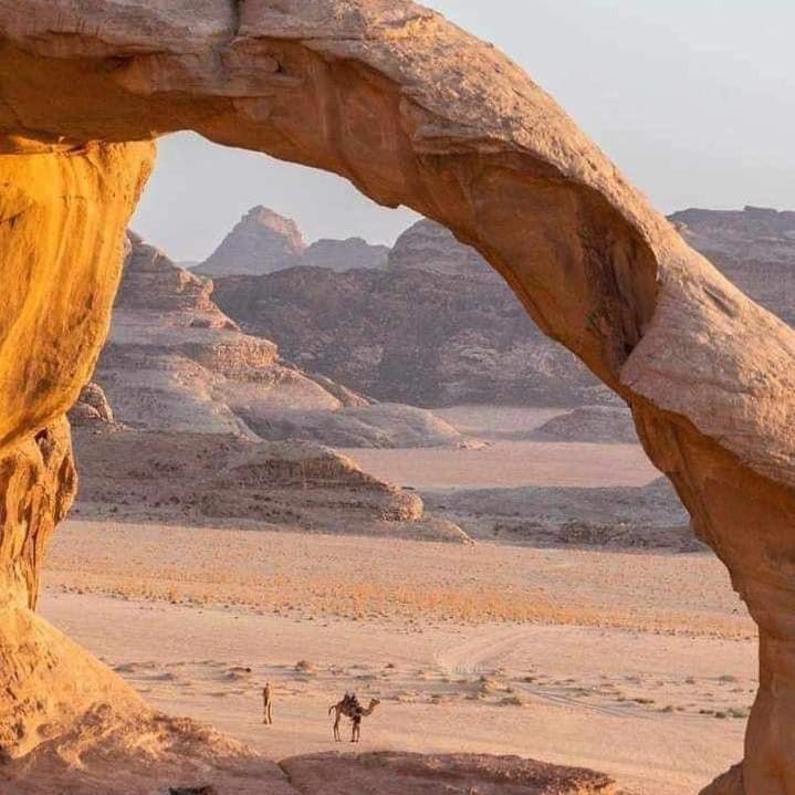 Adel Rum Camp Bubbles Wadi Rum Exterior photo